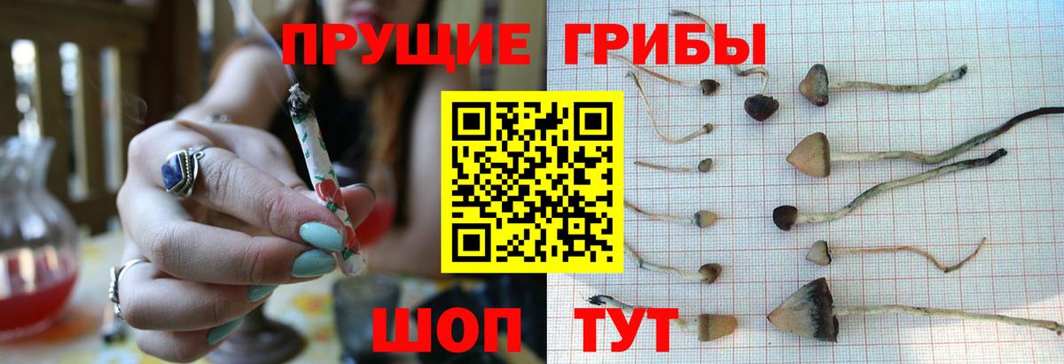 Галлюциногенные грибы мухоморы  Вход с VPN  Псилоцибиновые грибы GOLDEN TEACHER  Мценск 